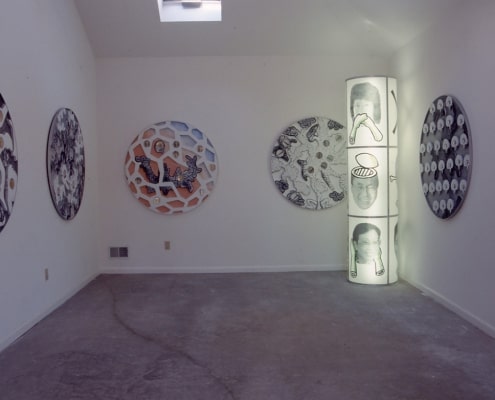 45 Magnified Field installation